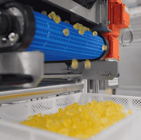 Tanis Gummy Production Line